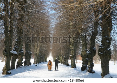 forest under the snow  in  winter in denmark Two old persons / couple  in a forest path