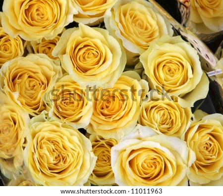 closeup picture of  flowers (roses)  in a shop in paris