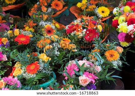 closeup picture of flowers and plants in pots on a market