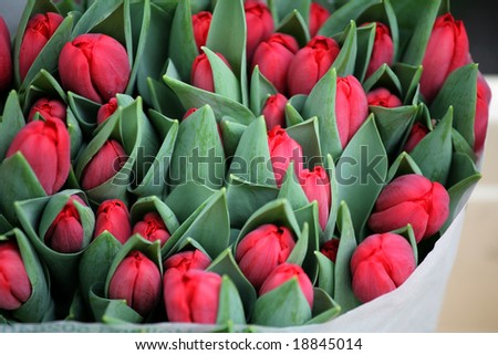 closeup picture of  flowers on a market in holland