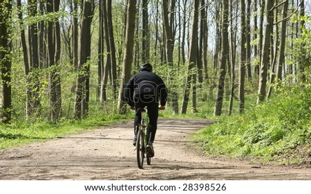 Man biking in a green forest in spring in Denmark