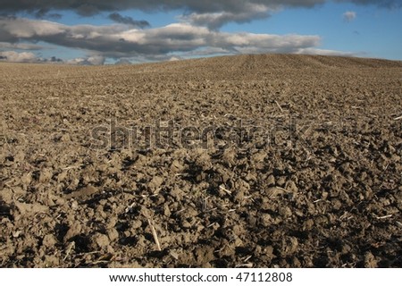 dry earth under  summer sky with nice cloud formation