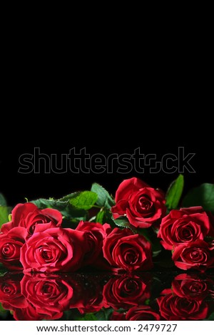 red roses wallpaper. Red Rose desktop wallpaper