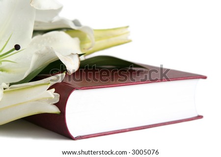 clip art easter lily. stock photo : Bible and easter