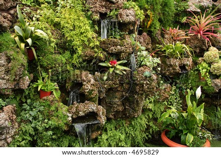 Different tropical plants on rocks in greenhouse