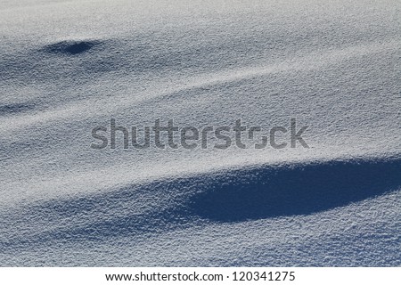a beautiful texture with light morning snow