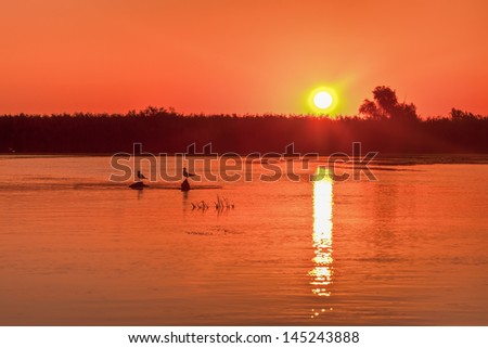 a beautiful sunrise in the Danube Delta, Romania