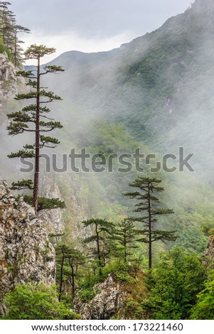 Tasnei Gorge protected area in Baile Herculane. Mehedinti Mountains, Romania.