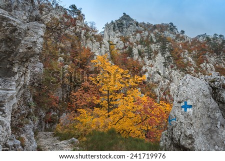 The Tasnei Gorge protected area in Baile Herculane, Romania