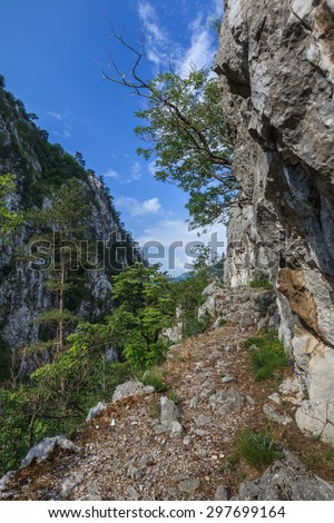 Tasnei Gorge protected area in Baile Herculane, Romania