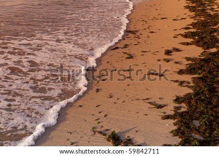 a quiet wave on a beach sand