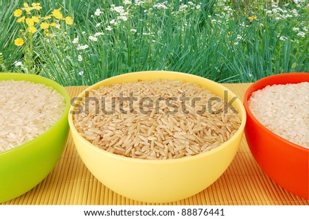 three kinds of rice in plates against a green grass