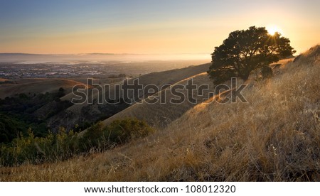 East Bay (San Francisco Bay Area) from above in the hills at sunset in summer