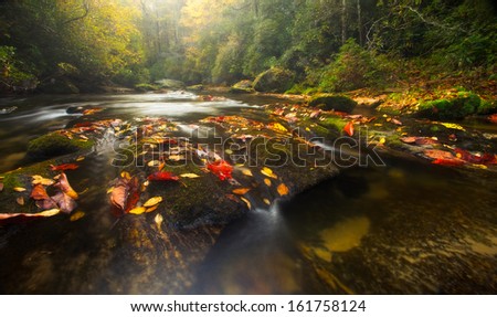 The Chattooga River winds through Western North Carolina\'s temperate rain forests in autumn