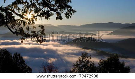 Foggy Sunrise in Great Smoky Mountains