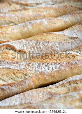 Row of Fresh Baked French Bread Sticks with dusting of flour for Sale.