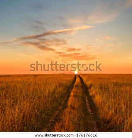 Sunset landscape with field, road and sun