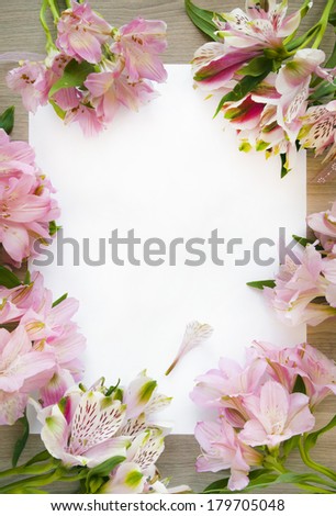 A4 sheet and frame of flowers. Astelmeriya