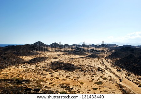 view on sandy desert with few plants from upper point