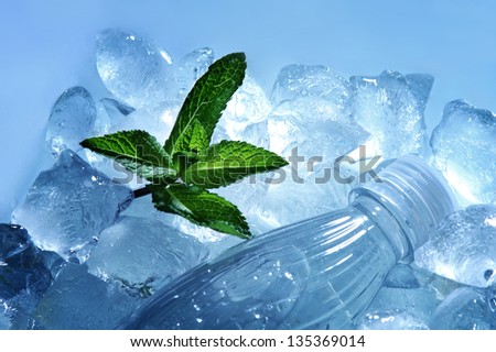 close up of plastic bottle of water and green mint leaves lying in ice cubes