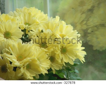 Yellow Flowers in the Window movie
