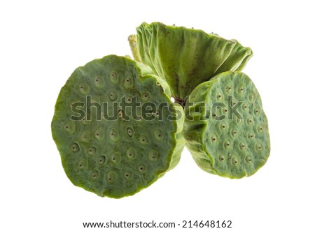 Lotus seeds heap isolated on white