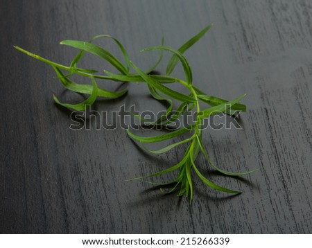 Tarragon leaves on the desk