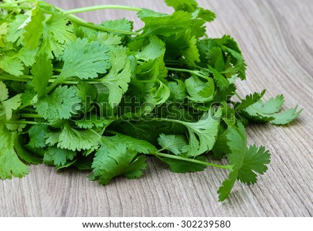 Fresh green Coriander leaves heap on the wood background
