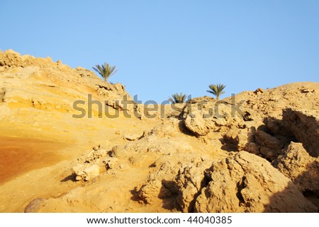 Holy ground Mount Sinai