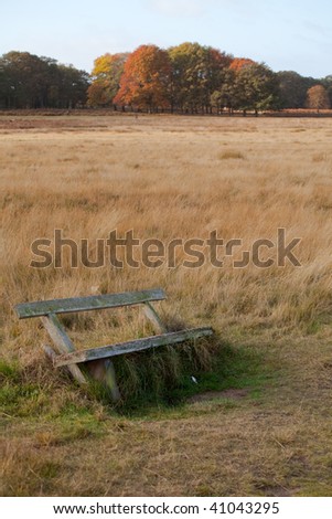Wooden park bench in the park in autumn time