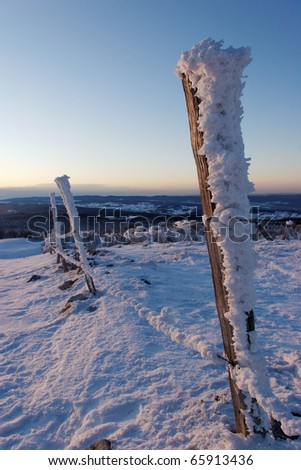 barbed wire under snow. Photograph in France, Doubs