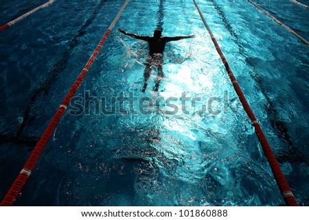 Swimmer in a swimming pool on a hot day