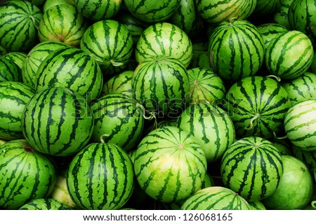 Many Big Sweet Green Watermelons And One Cut Watermelon