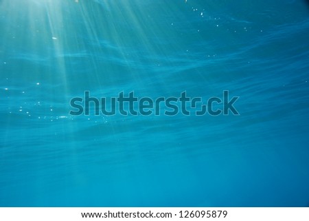 Water View from under the Ocean blue