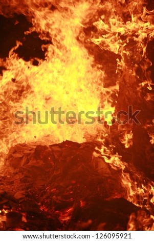 close-up of a big wooden fire. outside