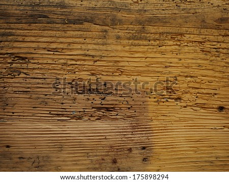 Wood worm holes timber background