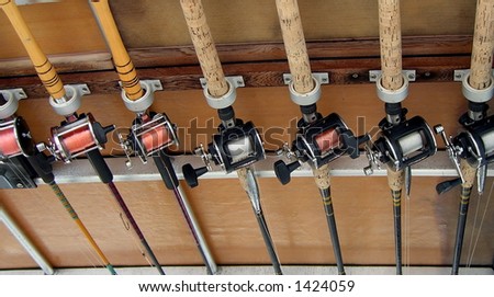 rods in the eye