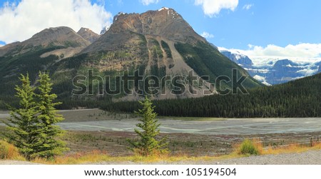 Rocky mountains covered with coniferous forest and river currents in a valley between mountain wood in Banff National Park (Alberta, Canada)