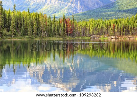 Reflection in smooth water of mountain lakes (Banff National Park, Alberta, Canada)