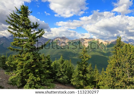 Rocky mountains green forest landscape.Banff National Park (Alberta, Canada)