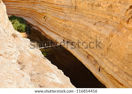 Top view on canyon Ein-Avdat in Negev desert, National park, Israel