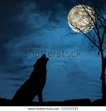 Silhouette Of Wolf Howling On The Full Moon