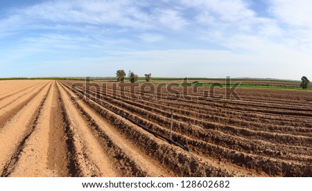 Spring arable land with furrows aspiring to horizon - panoramic landscape