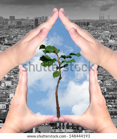 Female hands and seedling tree with black-and-white city outside and blue sky inside. Ecological concept