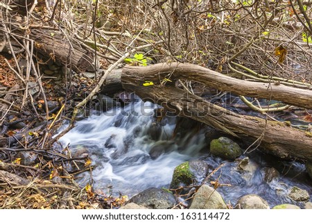Creek with a rapid current in the mountain wood