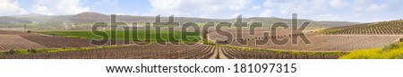 Panoramic view on spring agriculture valley  -  green fields,arable land, sleeping vineyards,olive plantations, blossom flowers and meliorative  reservoirs - Judaic mountains, Israel