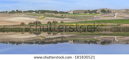 Panoramic view on spring agriculture valley - green fields, arable land, sleeping vineyards, olive plantations, blossom flowers and meliorative reservoirs - Judaic mountains, Israel