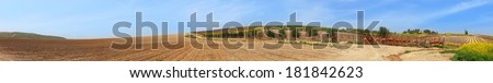Rural spring panoramic landscape - arable land, sleeping vineyards,olive plantations, meliorative system\'s components. Panoramic view. Israel