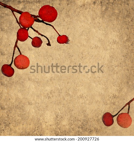 Textured old paper background with red wild icy berries.Copy space is available