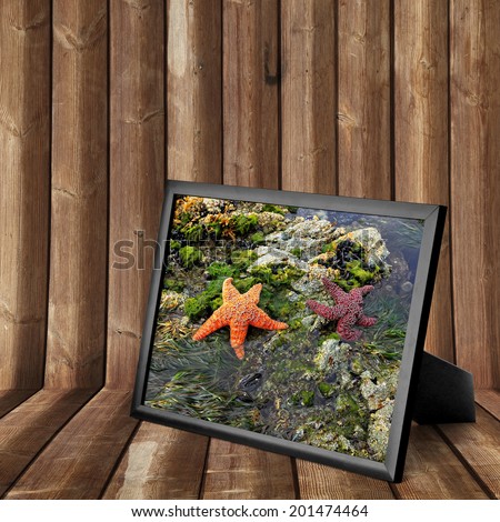 Picture frame with starfishes on a coast of Pacific ocean photo on the wooden panel background. Collage of my photos